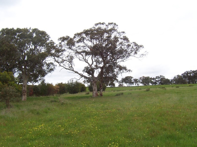 Lot 8 Archer Hill Road, Wistow SA 5251