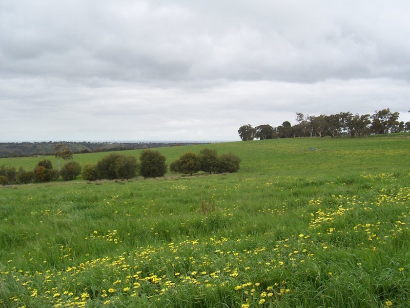 Lot 8 Archer Hill Road, Wistow SA 5251