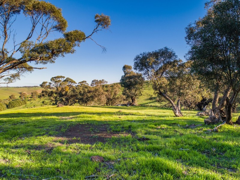 Lot 103 Back Callington Road, Mount Barker Springs SA 5251