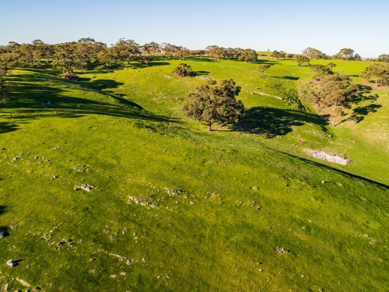 Lot 103 Back Callington Road, Mount Barker Springs SA 5251