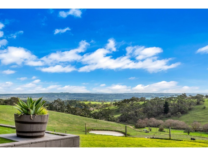 133 Hay Road, Meadows SA 5201