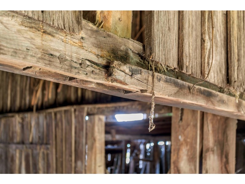 23 Victoria Street, Hahndorf SA 5245