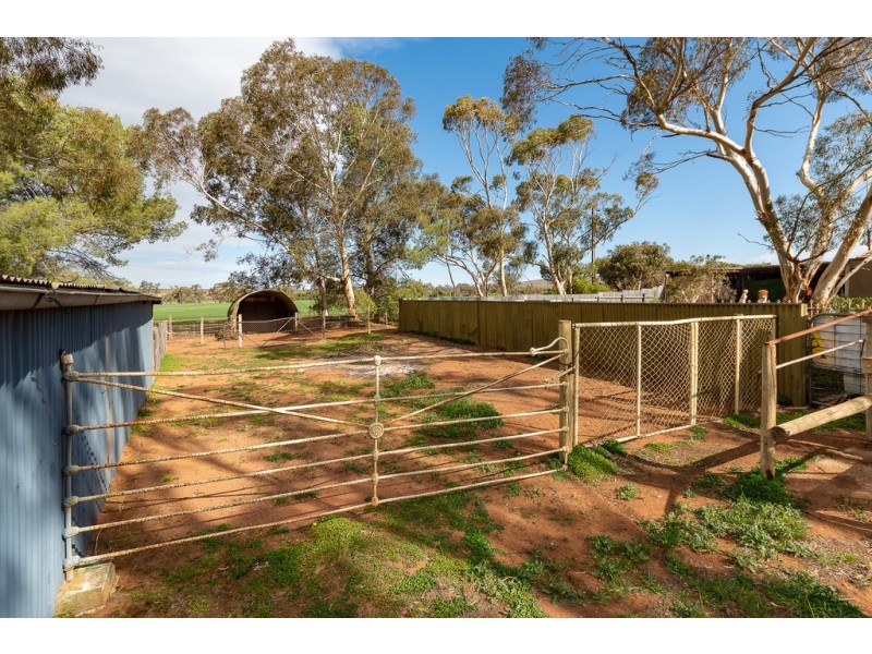 276 Sanderston Road, Sanderston SA 5237