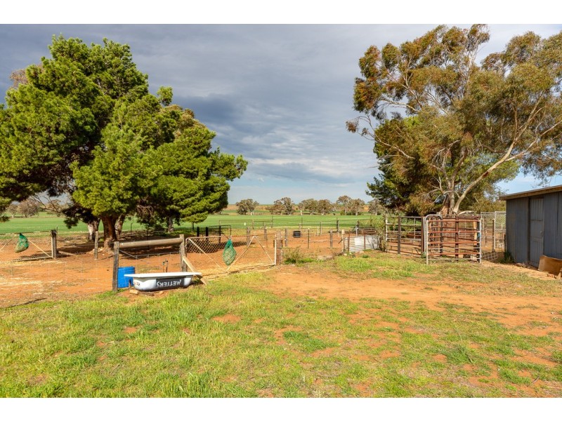276 Sanderston Road, Sanderston SA 5237