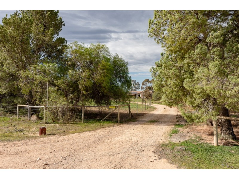 276 Sanderston Road, Sanderston SA 5237