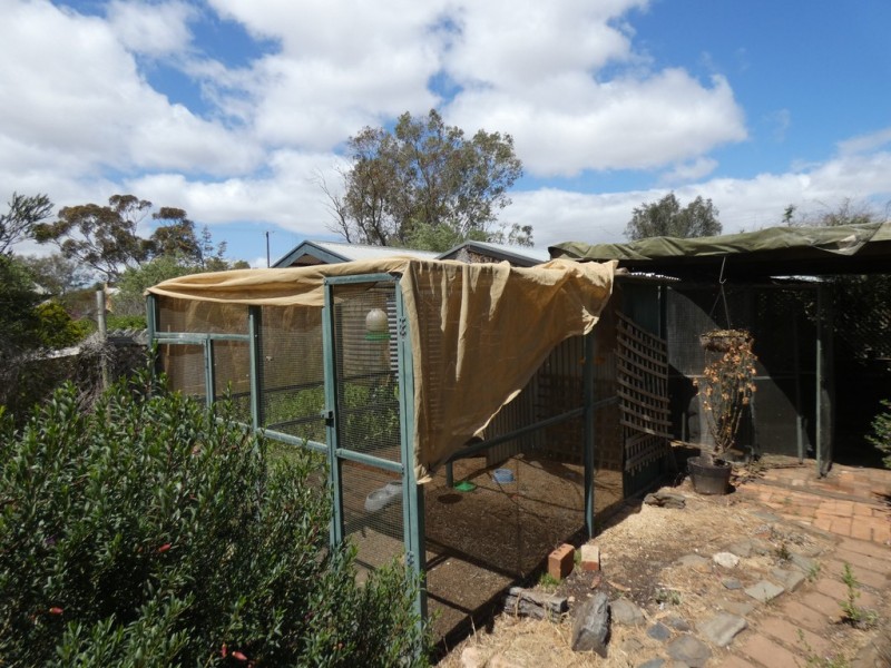 31 Murray Street, Callington SA 5254