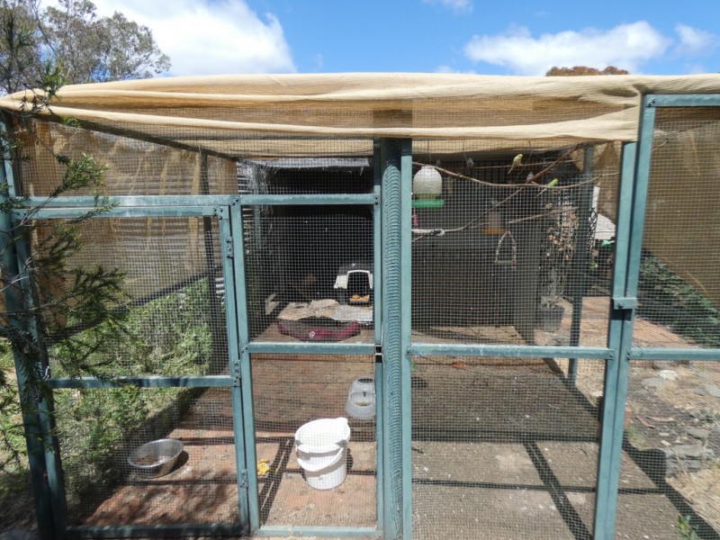 31 Murray Street, Callington SA 5254