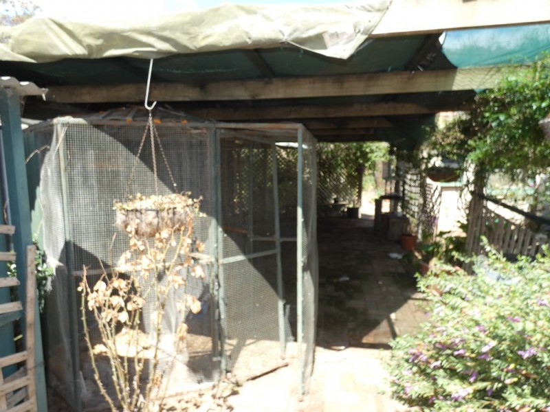 31 Murray Street, Callington SA 5254