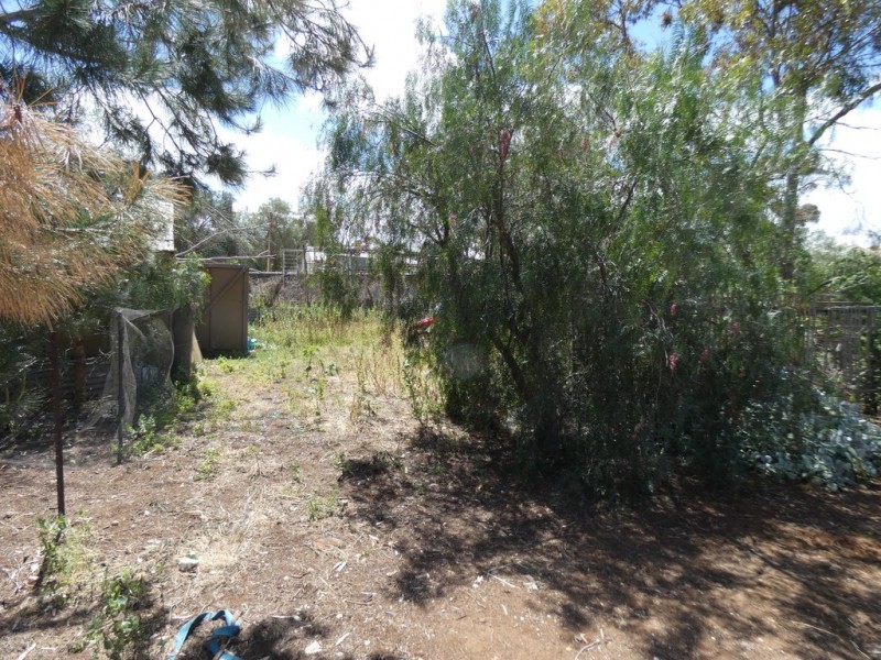 31 Murray Street, Callington SA 5254