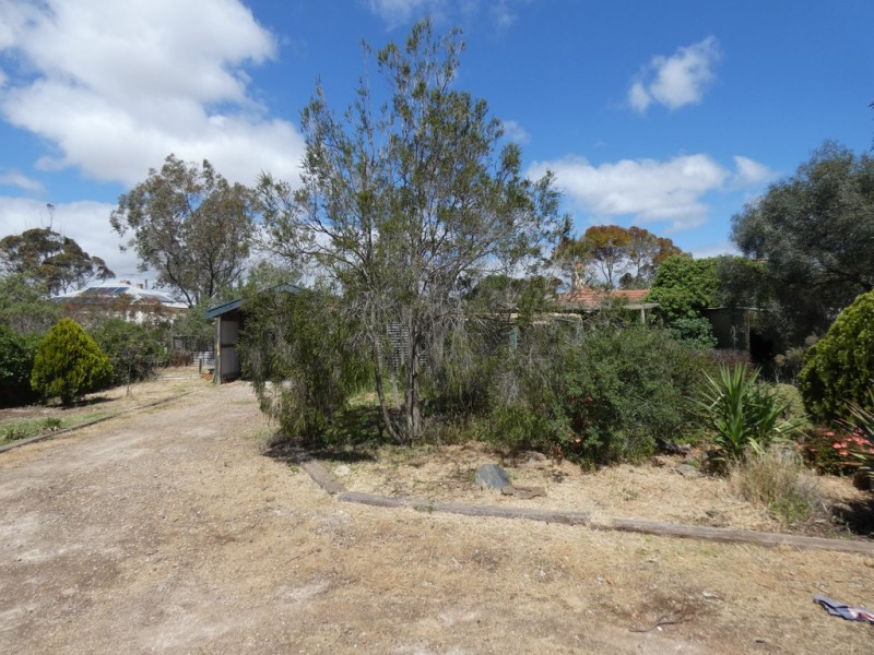 31 Murray Street, Callington SA 5254