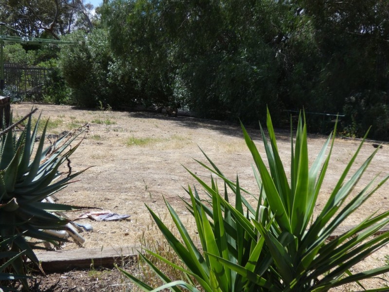 31 Murray Street, Callington SA 5254