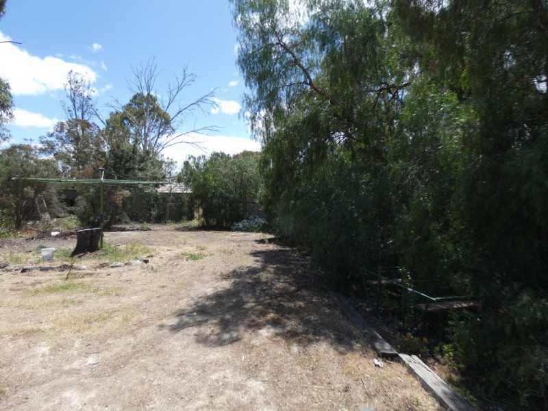 31 Murray Street, Callington SA 5254