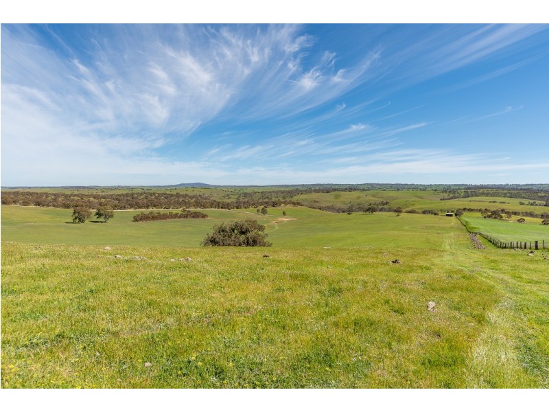 Lot 91 The Glen Road, Harrogate SA 5244