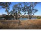 Lot 24 East Front Road, Younghusband SA 5238
