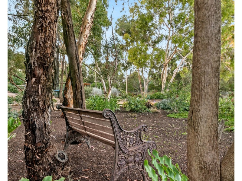 14 Melville Street, Strathalbyn SA 5255