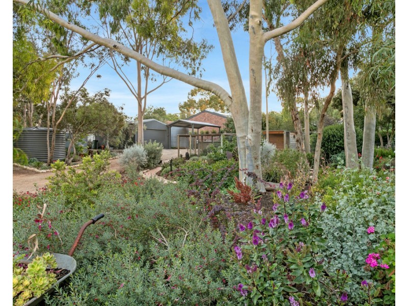 14 Melville Street, Strathalbyn SA 5255
