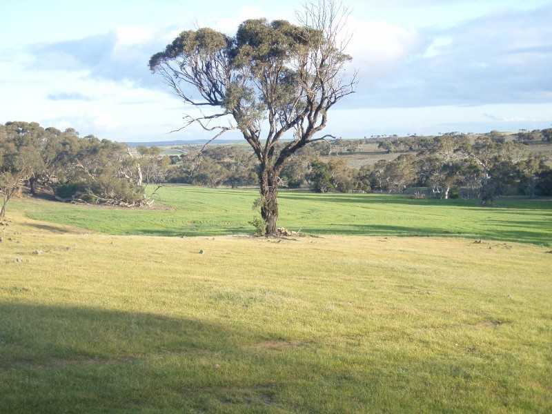 Rockleigh SA 5254