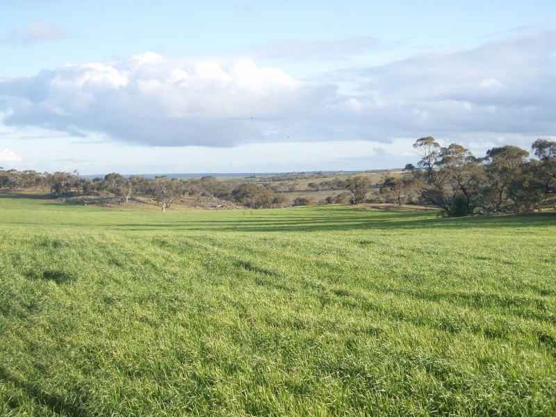 Rockleigh SA 5254