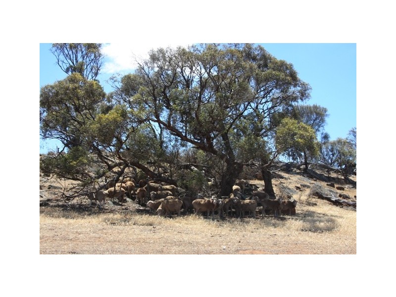 Rockleigh SA 5254