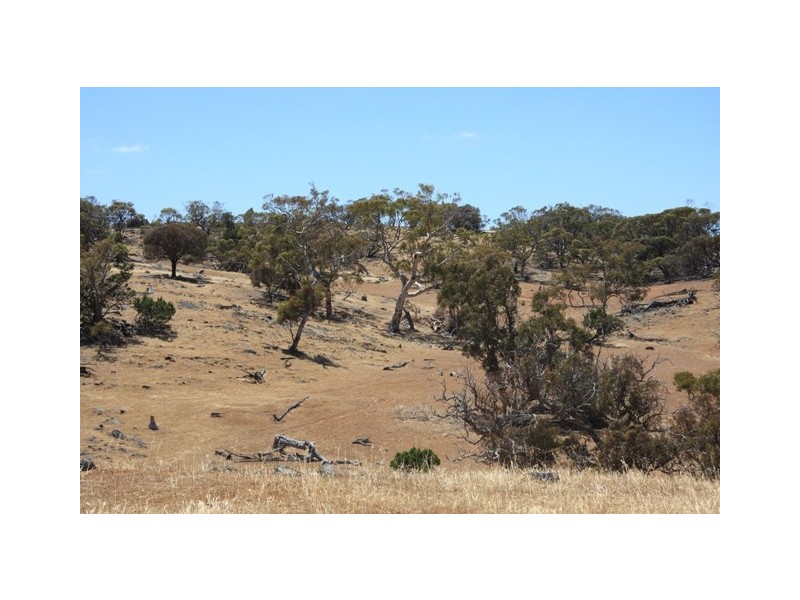 Rockleigh SA 5254