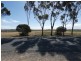 Lot 115 Kelsey Road, Wellington East SA 5259
