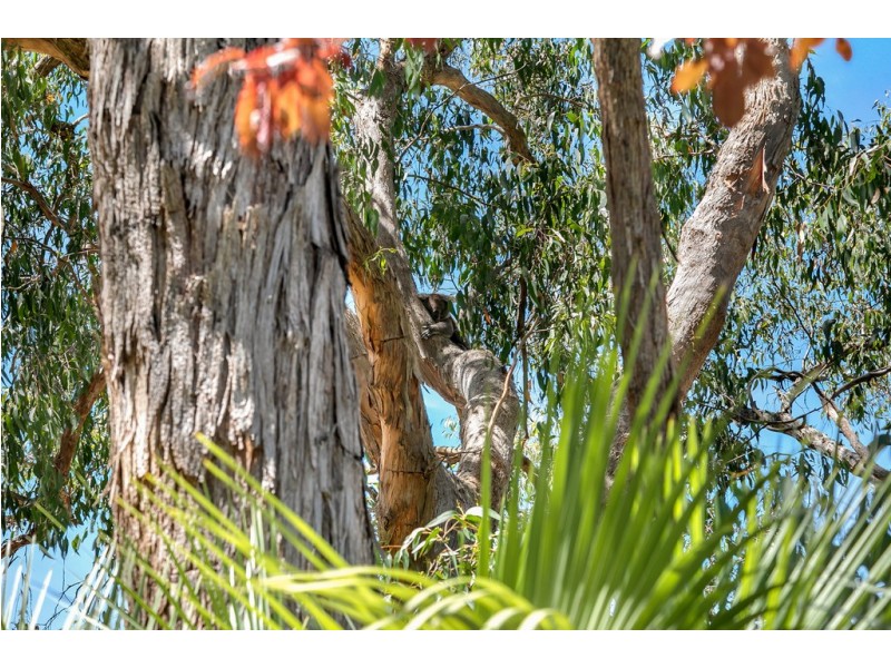 4 Priory Place, Upper Sturt SA 5156