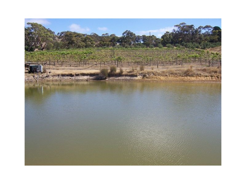 Lot 1 Old Bull Creek Road, Macclesfield SA 5153