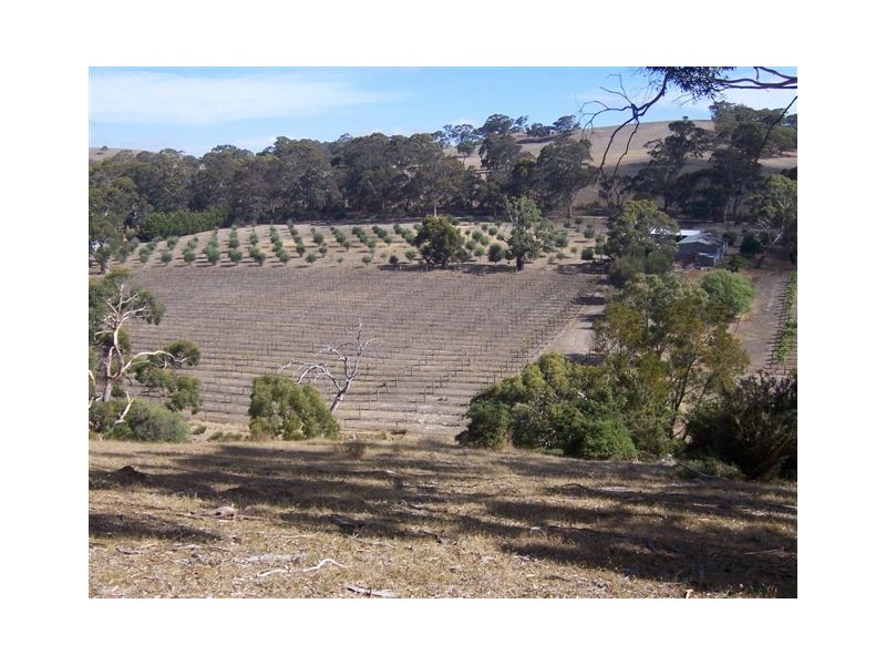 Lot 1 Old Bull Creek Road, Macclesfield SA 5153