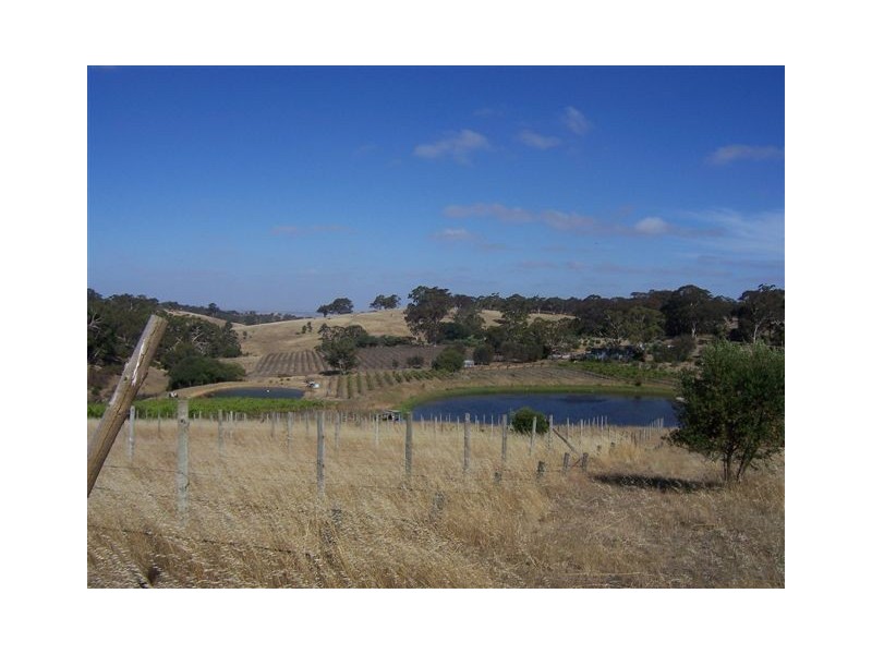 Lot 1 Old Bull Creek Road, Macclesfield SA 5153