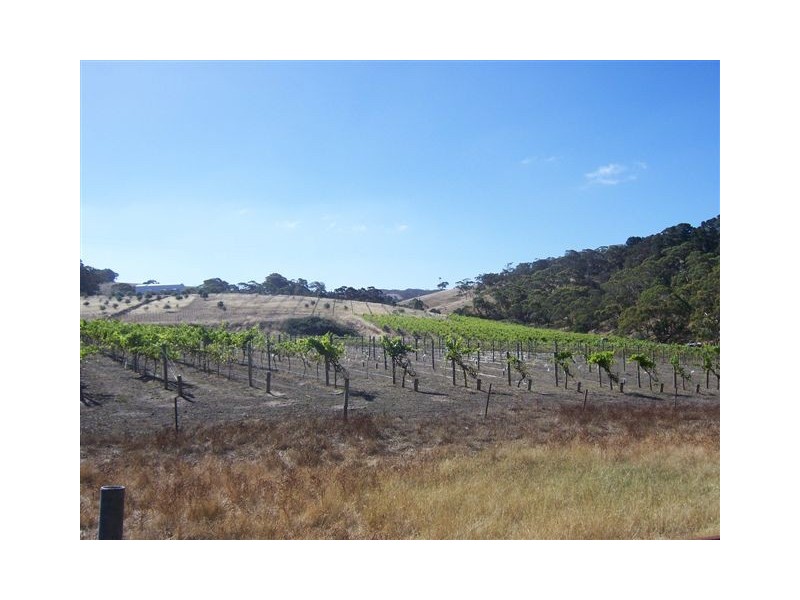 Lot 1 Old Bull Creek Road, Macclesfield SA 5153