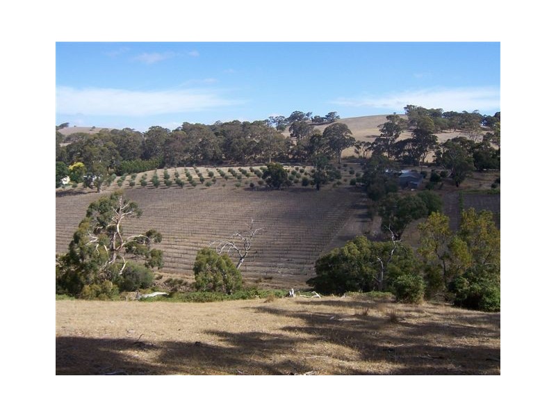 Lot 1 Old Bull Creek Road, Macclesfield SA 5153