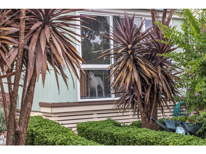 2 Jervois Street, Nairne SA 5252