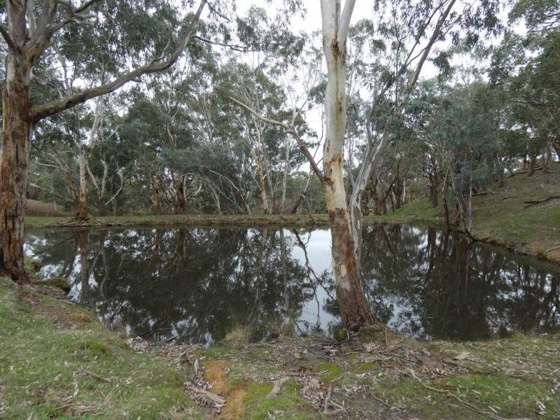 Lot 53 Harvey Road, Prospect Hill SA 5201