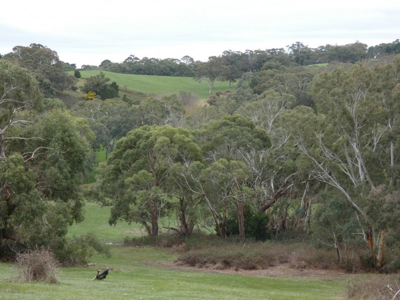 Lot 53 Harvey Road, Prospect Hill SA 5201