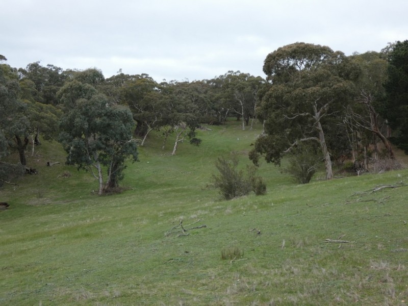 Lot 53 Harvey Road, Prospect Hill SA 5201