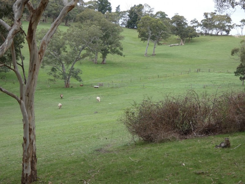 Lot 53 Harvey Road, Prospect Hill SA 5201