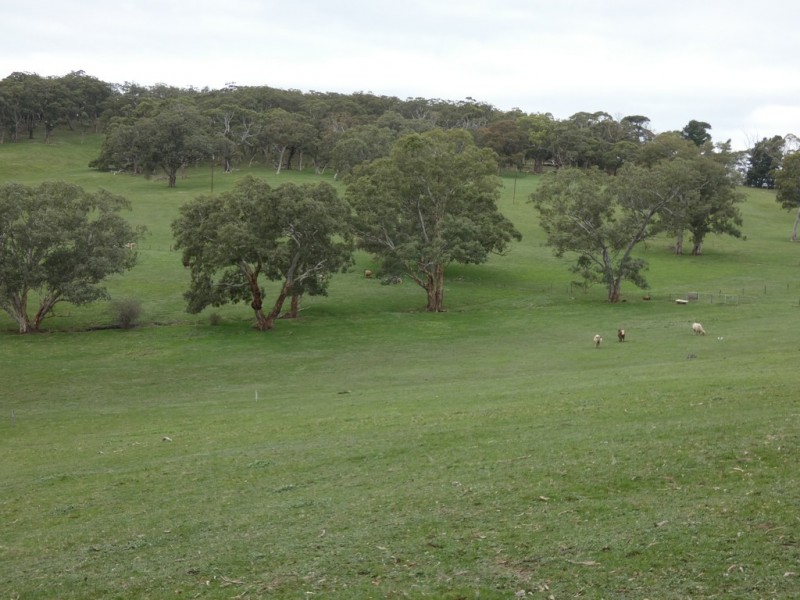 Lot 53 Harvey Road, Prospect Hill SA 5201