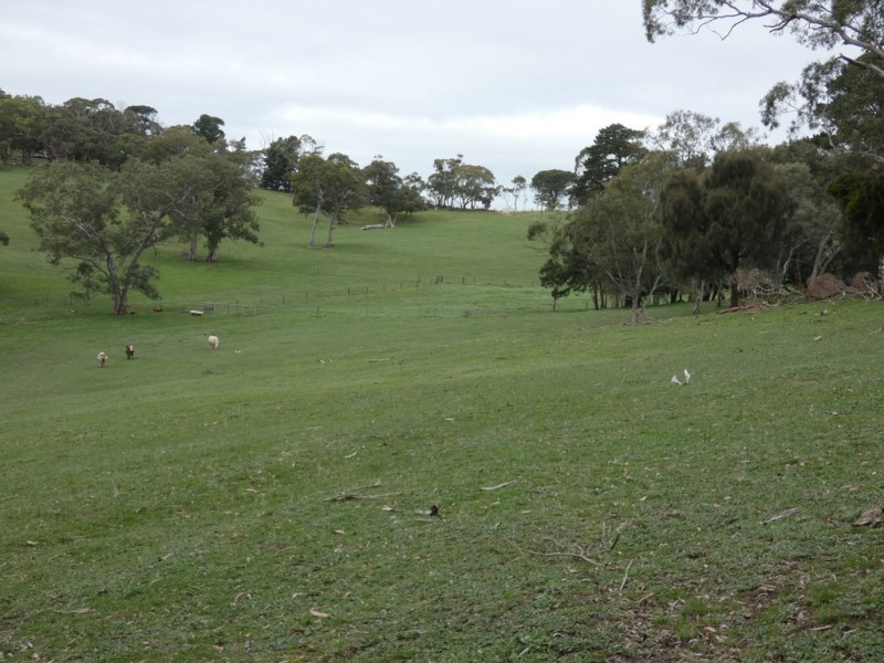 Lot 53 Harvey Road, Prospect Hill SA 5201