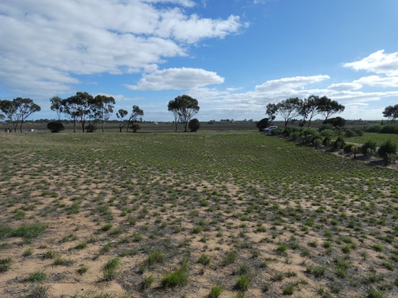 Lot 705 Kelsey Road, Wellington East SA 5259