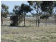 Lot 705 Kelsey Road, Wellington East SA 5259