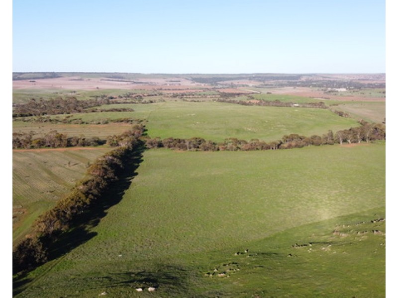 255 Mine Road, Kanmantoo SA 5252