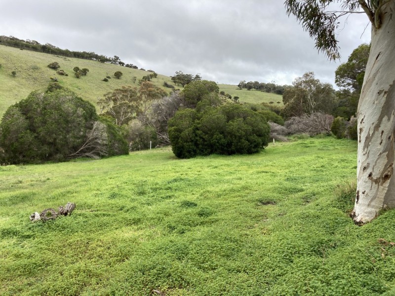 2 Seaview Avenue, Wirrina Cove SA 5204