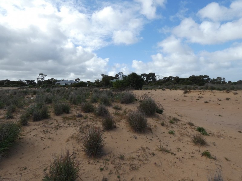 Lot 947 Trilby Road, Wellington East SA 5259