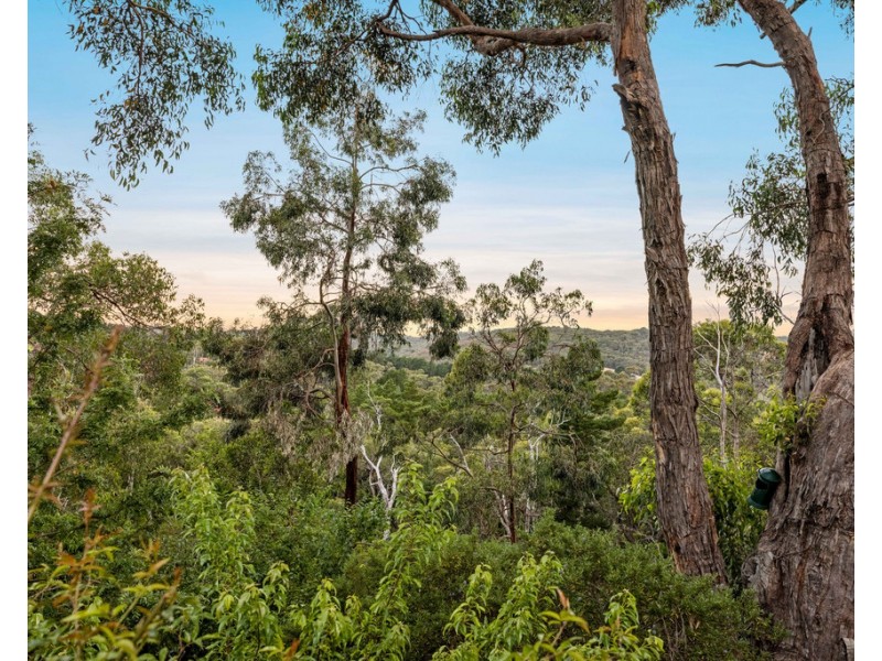 19 Wychwood Grove, Upper Sturt SA 5156