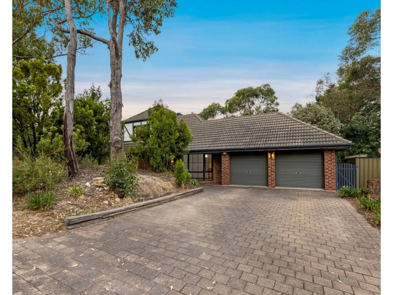 19 Wychwood Grove, Upper Sturt SA 5156