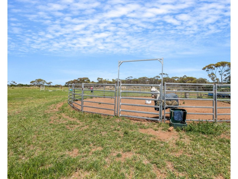 53 Old Swanport Road, Murray Bridge SA 5253