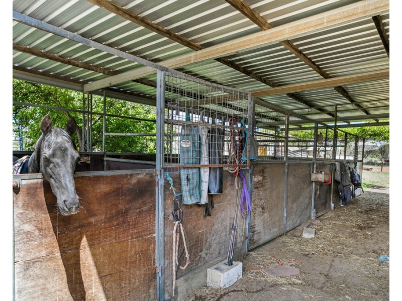 53 Old Swanport Road, Murray Bridge SA 5253