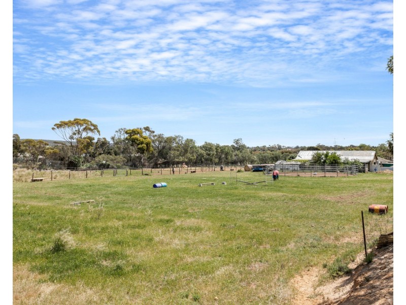 53 Old Swanport Road, Murray Bridge SA 5253