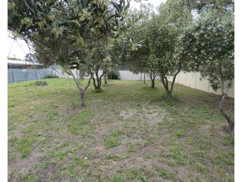 6 Maroo Street, Milang SA 5256
