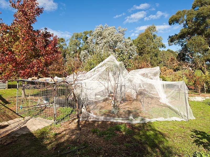 19 Davis Road, Macclesfield SA 5153